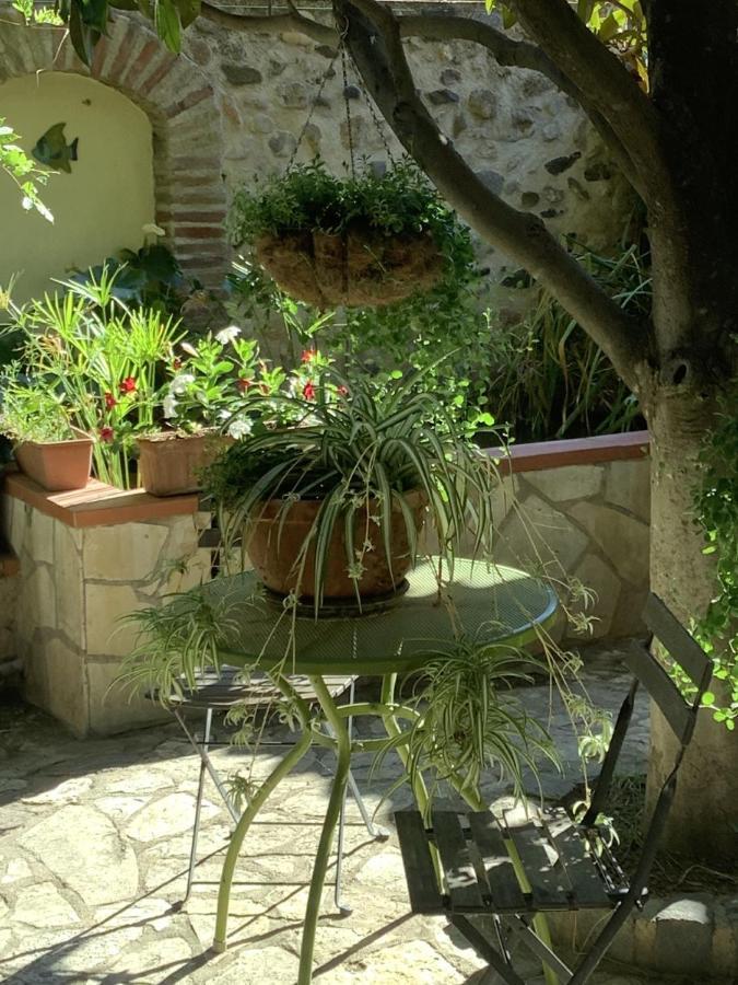 Mas Grandiflora Villa Espira-de-l'Agly Exteriör bild